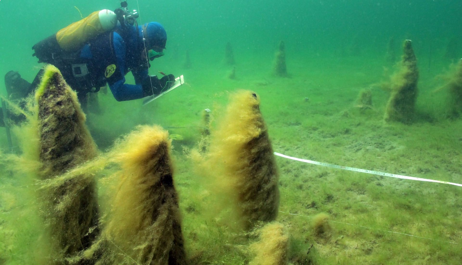 Les habitats littoraux lacustres révélés par l'archéologie