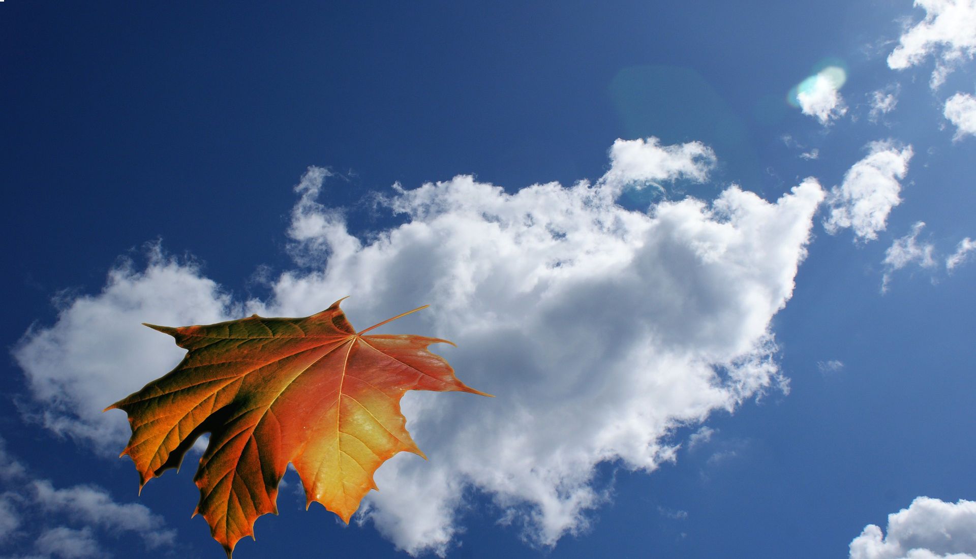 Ce que n'est pas la liberté Ce que n'est pas la liberté