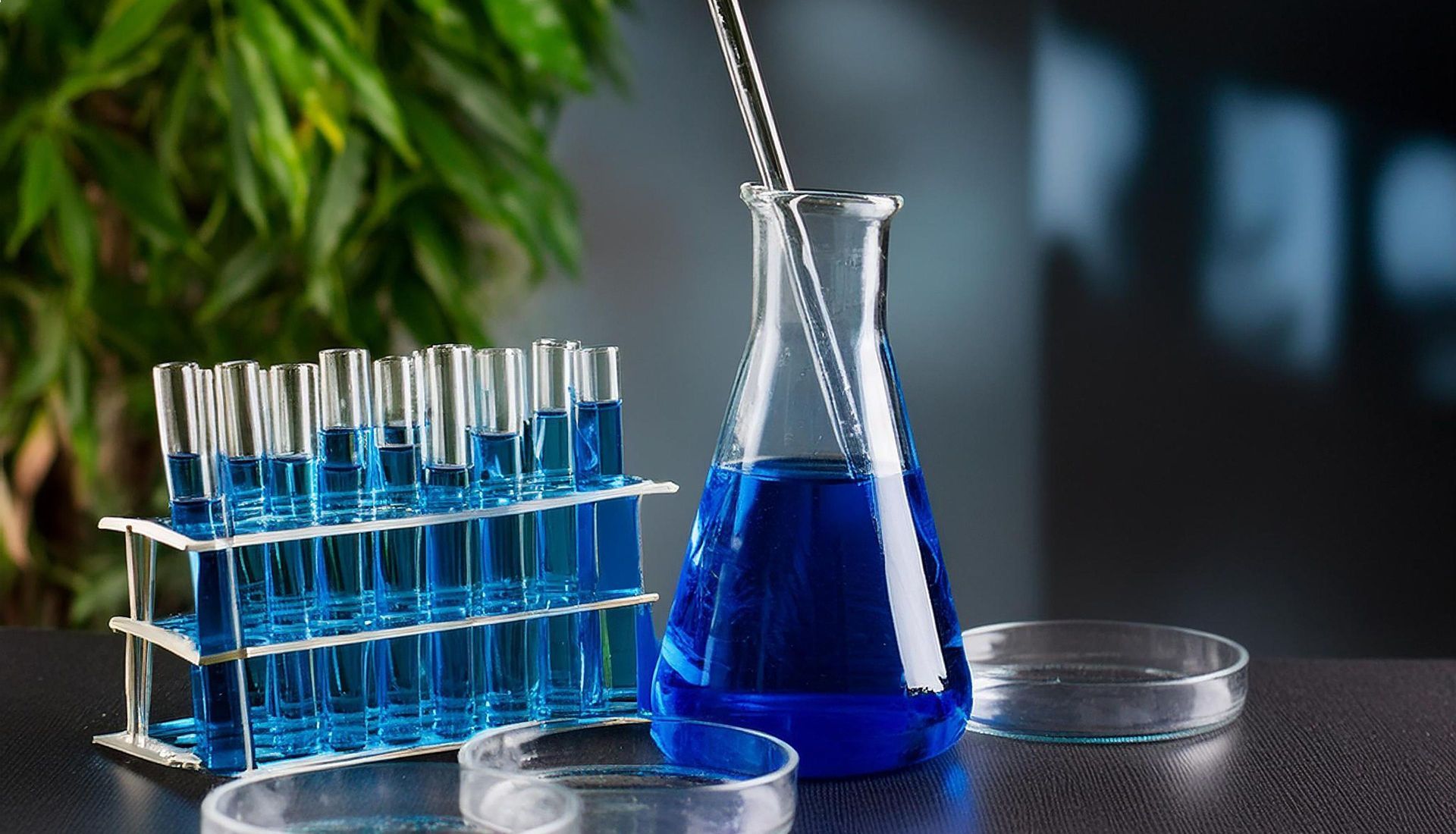 Sciences et pseudo-sciences
