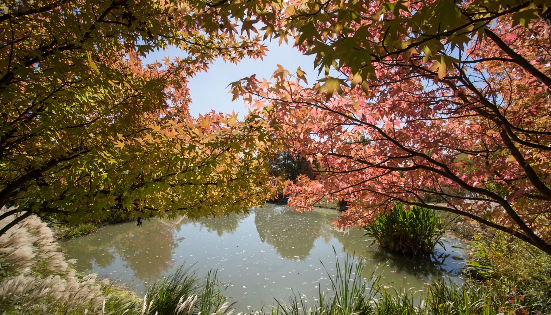 Le jardin du 