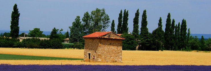 Trés bel été