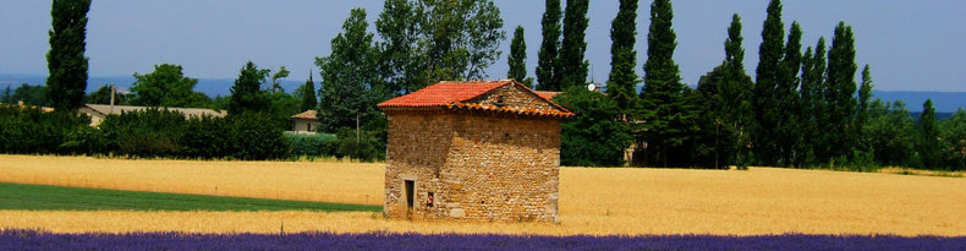 Visuel décoratif
